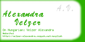 alexandra velzer business card